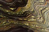 Polished Tiger Iron Stromatolite Slab - Billion Years #351877-1